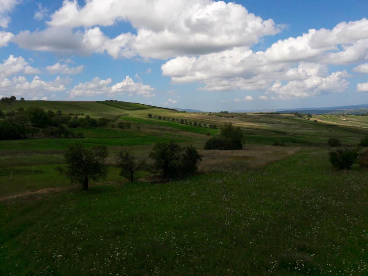Casa Delureni Dış mekan fotoğraf